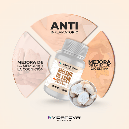 MELENA DE LEÓNMelena de León 1000mg 60 cápsulas Vidanova memoria cognición salud cerebral