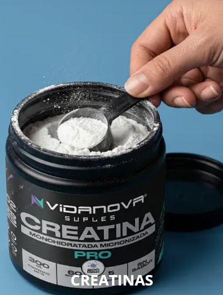 Creatina PRO Monohidratada Micronizada 300 g | Vidanova®